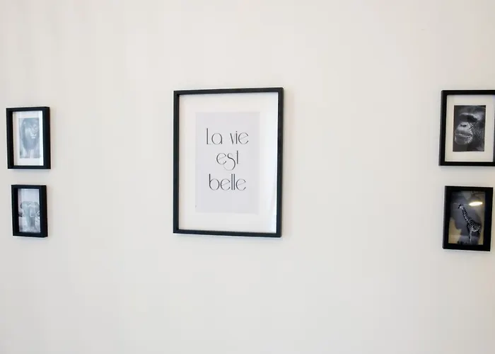 Apartamento T3 De Charme Situé En Hyper Centre Avec Wifi, Linge, Draps, Savons Et Serviettes Fournis *