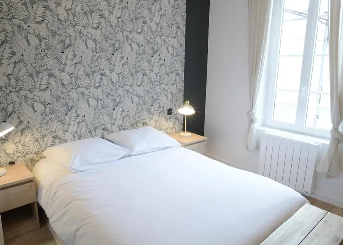 T3 De Charme Situé En Hyper Centre Avec Wifi, Linge, Draps, Savons Et Serviettes Fournis * Cognac